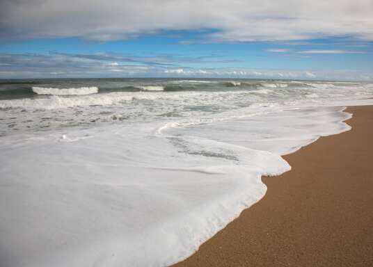 Apollo Beach, Florida, USA