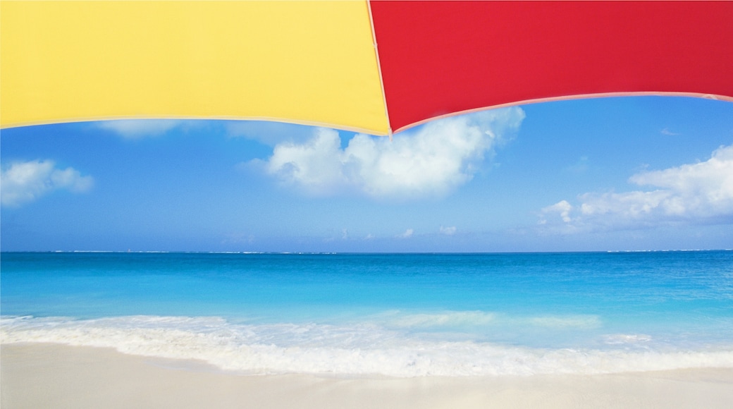 Providenciales Beaches, Providenciales, Providenciales, Turks and Caicos