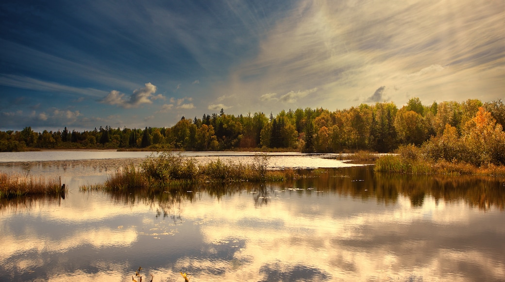 Abitibi-Temiscamingue