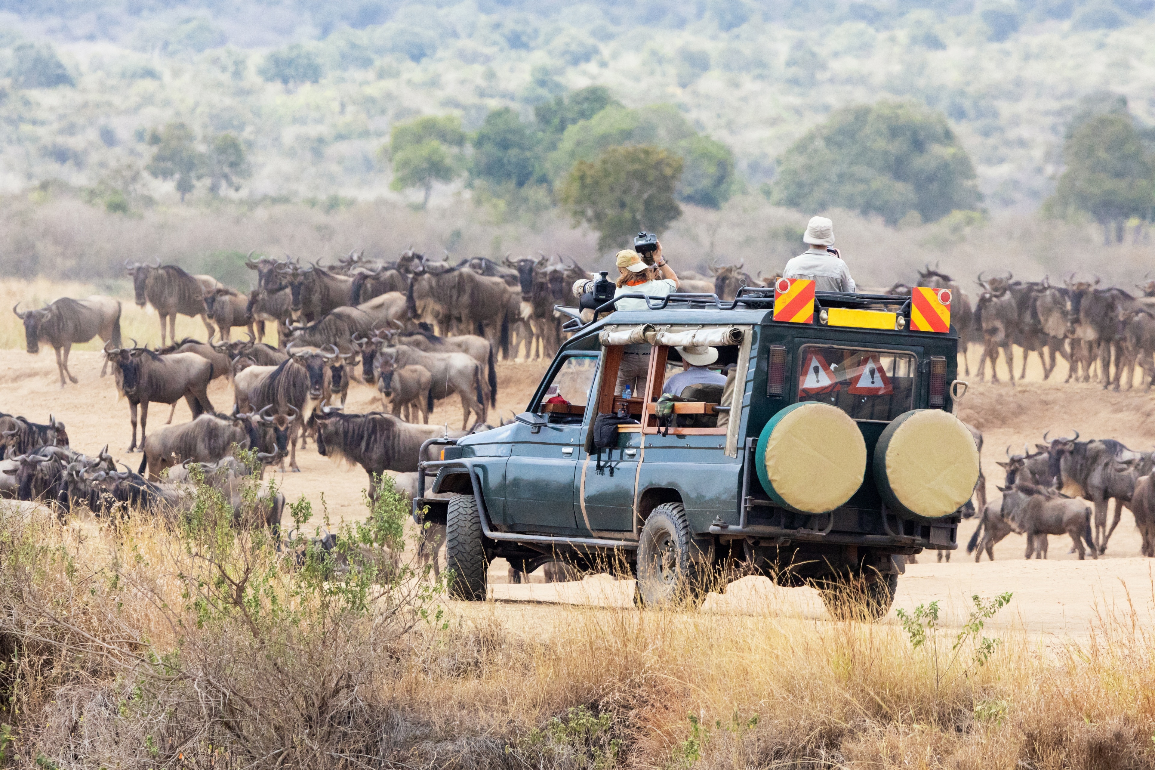 Visit Maasai Mara 2024 Travel Guide For Maasai Mara Narok County   D9fd971ad2dcb1e21205d90e593ee698 