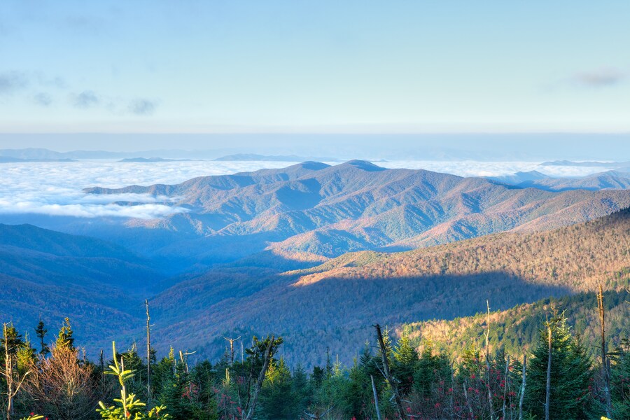 Panoramic view of the Great Smoky Mountains National Park with lush forests and rolling hills.