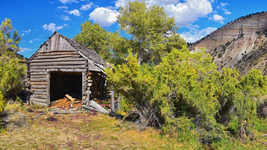 Enterprise Car Rental Deals in Price | Expedia