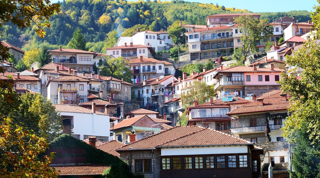 Metsovo, Epirus, Griekenland