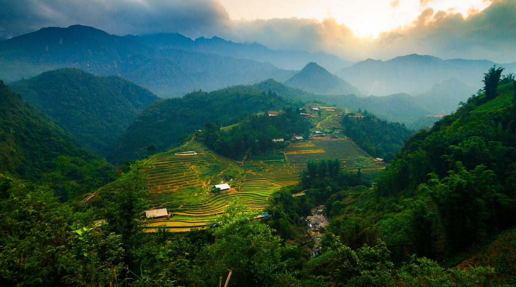 Lao Cai Province