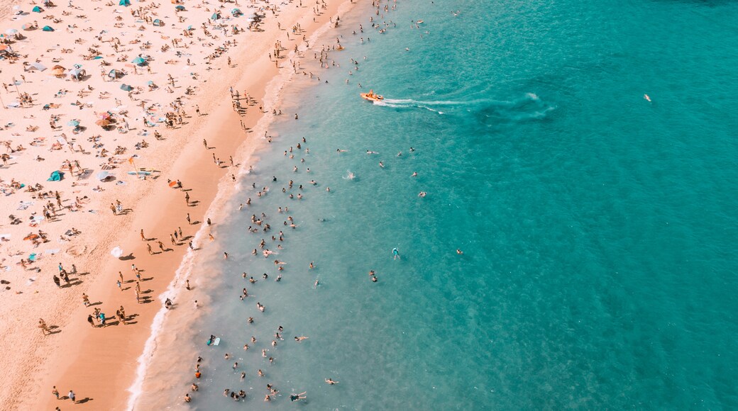 Coogee Beach, Sydney, Uusi Etelä-Wales, Australia