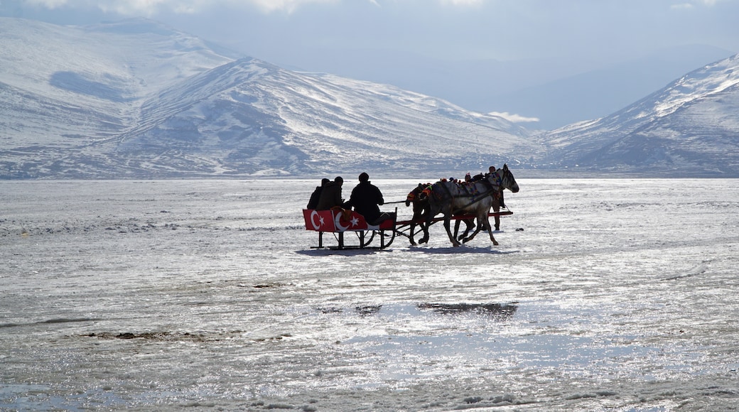 Ardahan Province