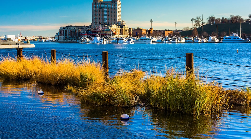 Harbor East, Baltimore, Maryland, United States of America