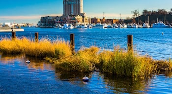 Harbor East, Baltimore, Maryland, Mỹ
