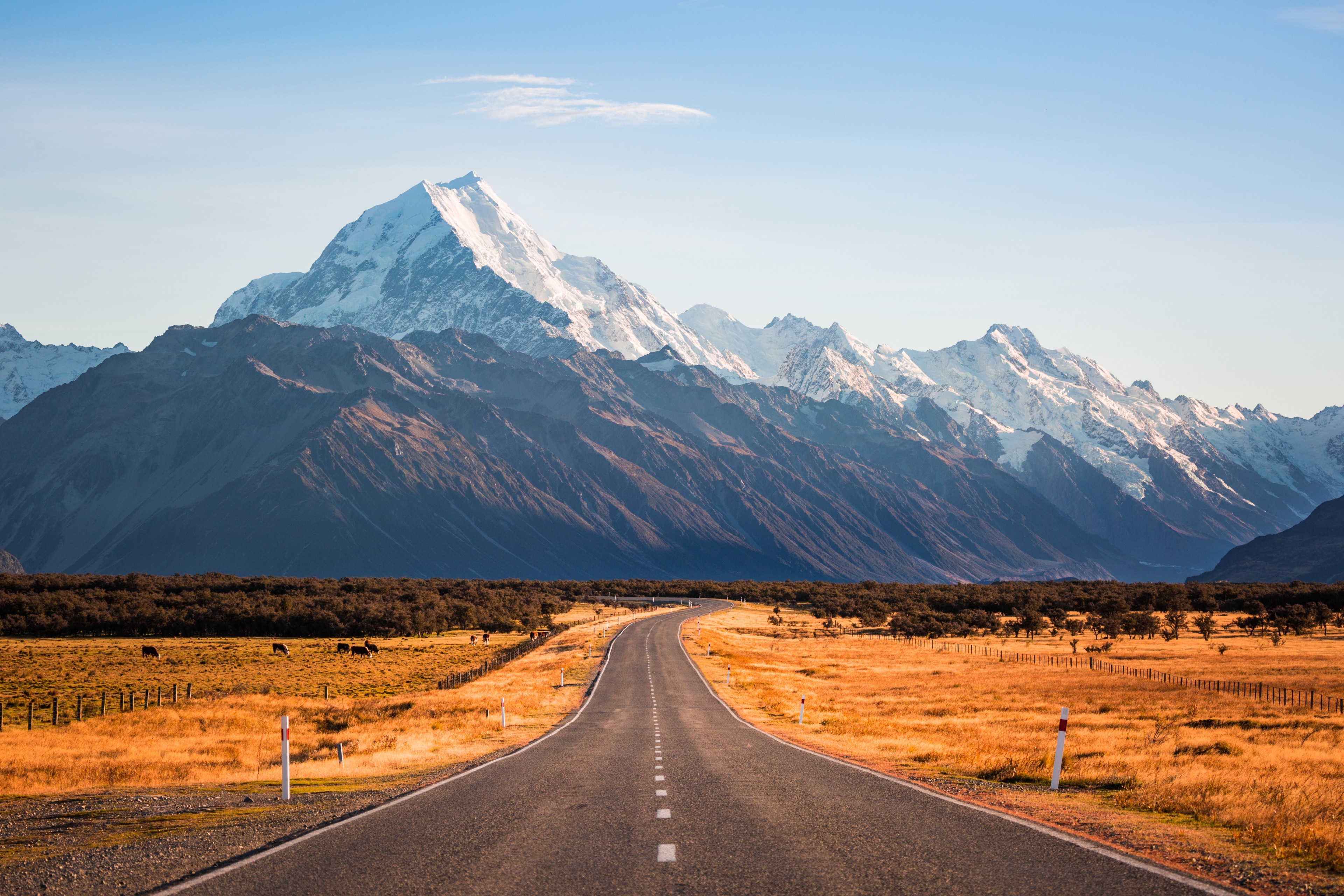 Visit Mount Cook Best of Mount Cook, Canterbury Travel 2022 Expedia