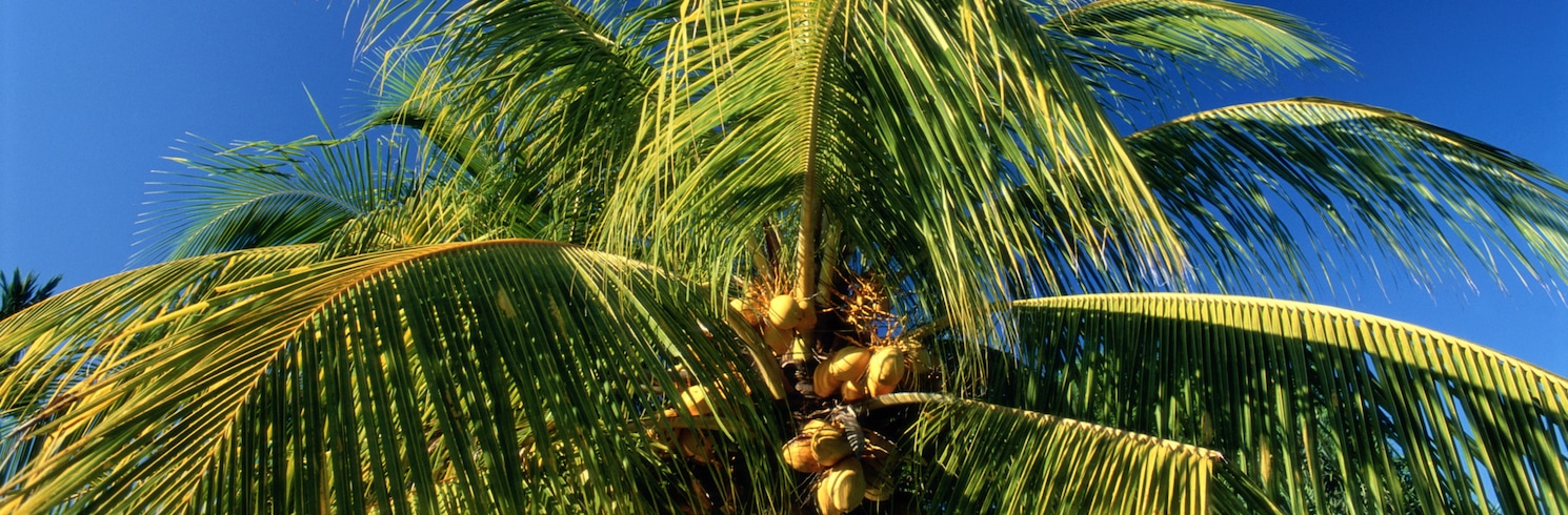 Twentynine Palms, California, Estados Unidos