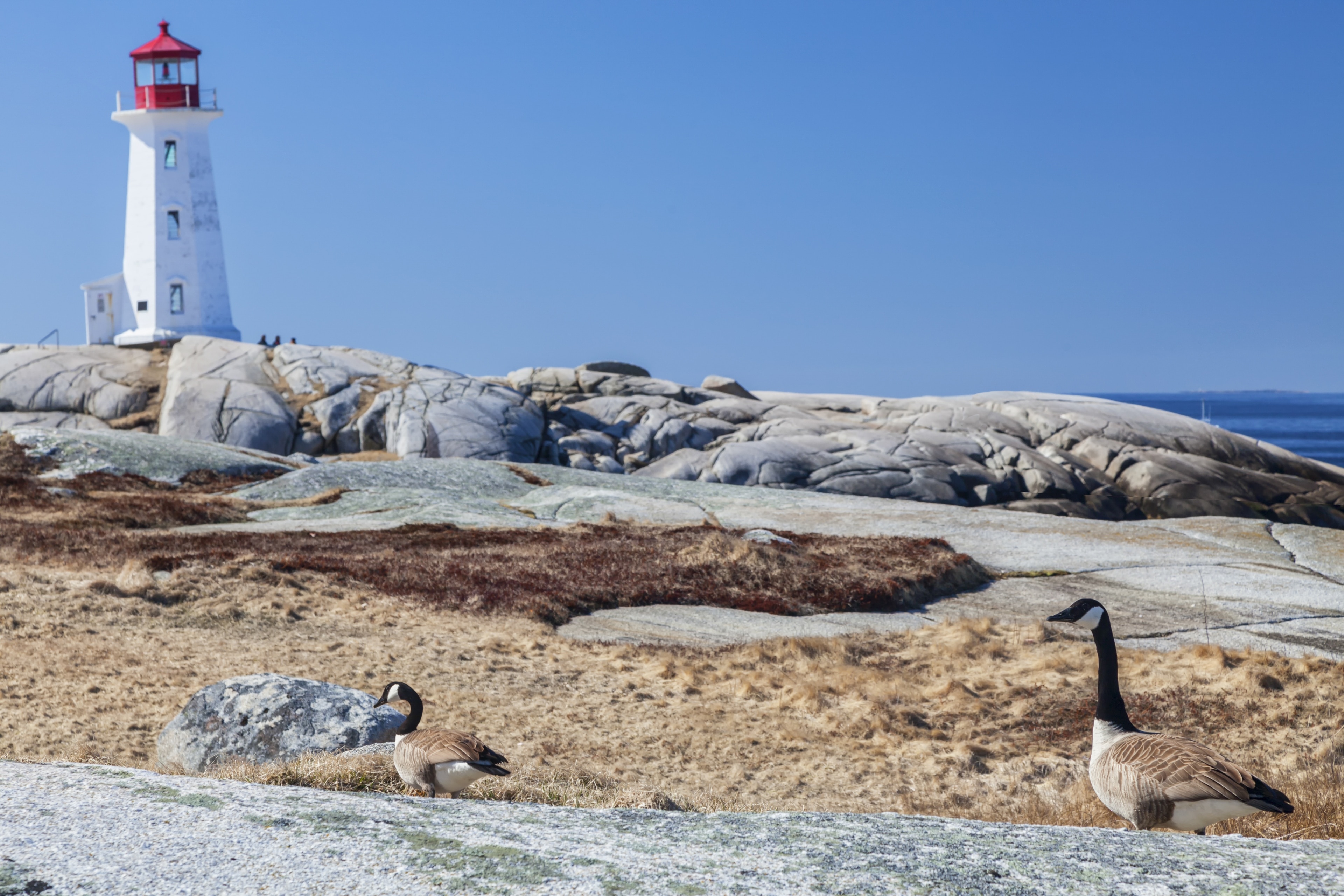 tourism gander newfoundland