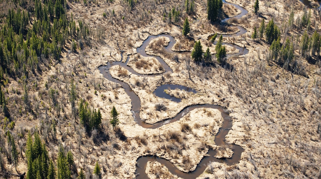 Wood Buffalo, Alberta, Canada