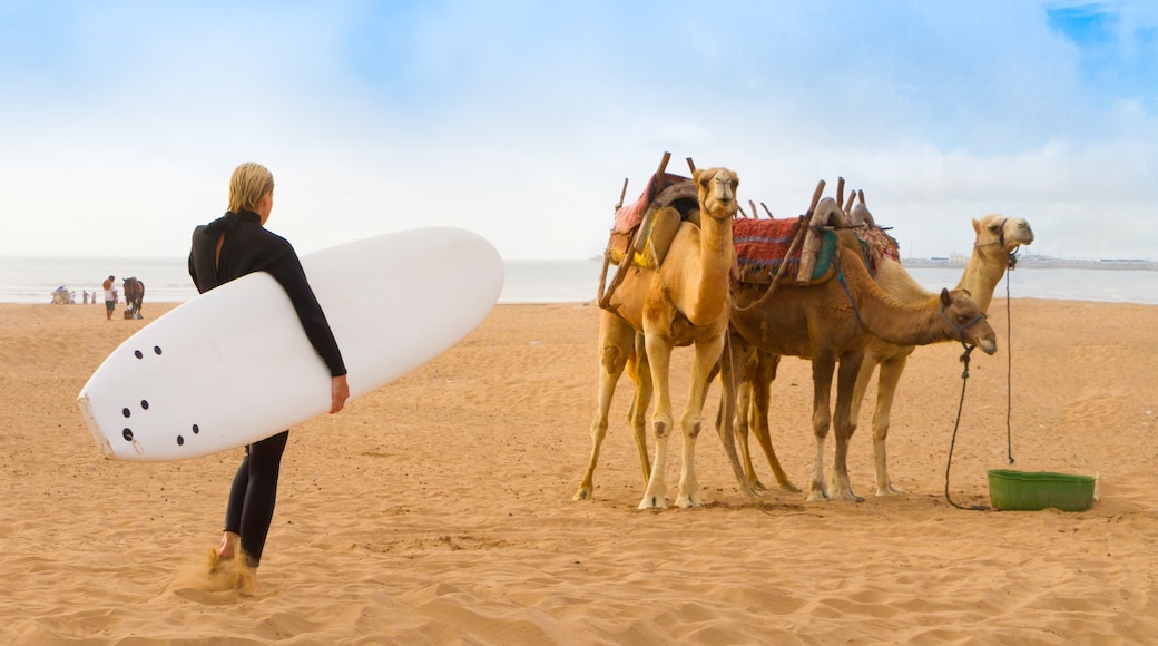 Essaouira Beach