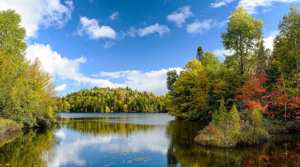 Gaspésie