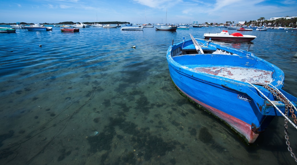 Porto Cesareo Marine Protected Area