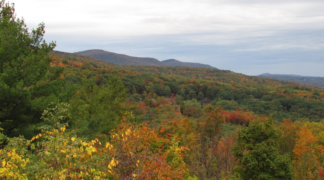 Big Pocono State Park