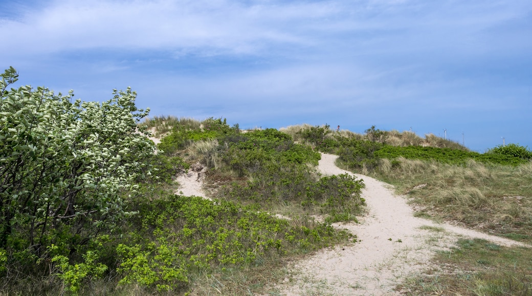 Hornbæk