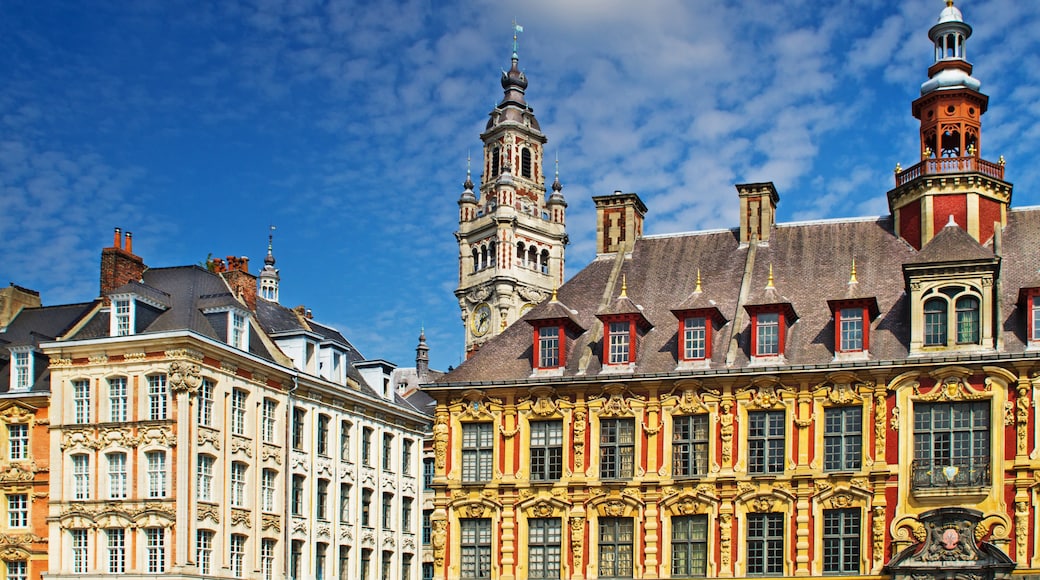Centre historique, Lille, Nord (département), France