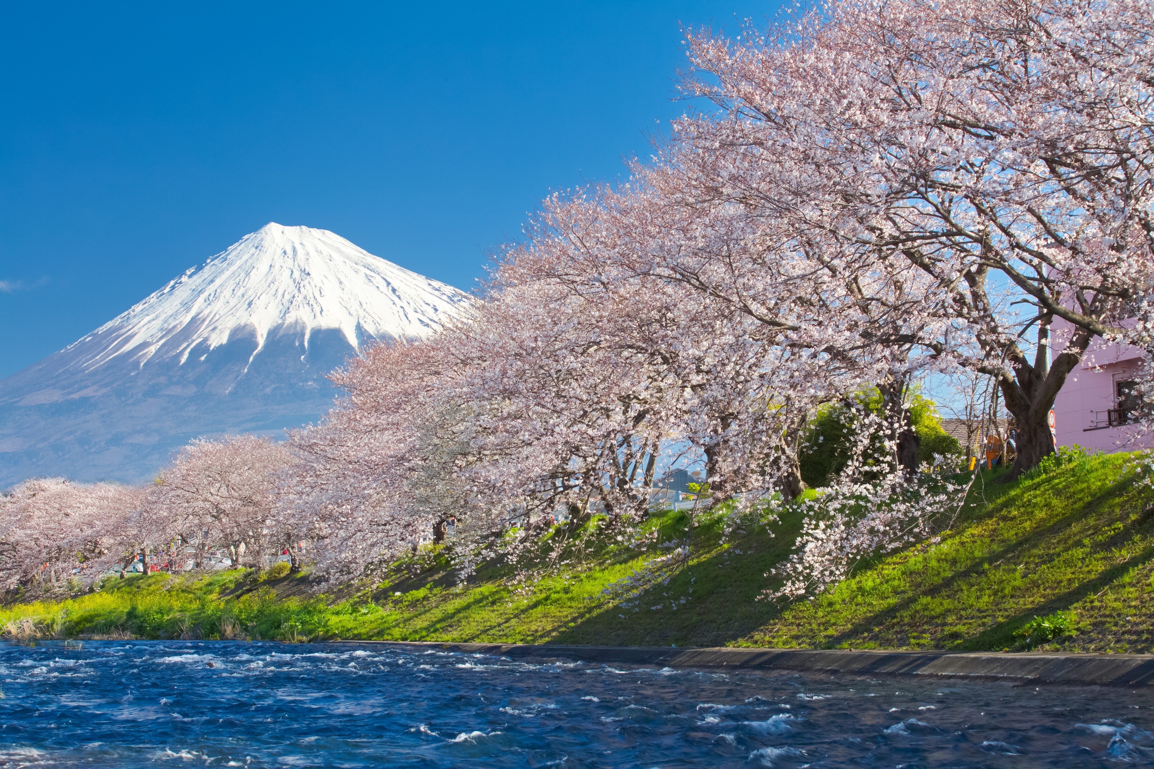 Things to Do in Fuji in 2024 | Expedia