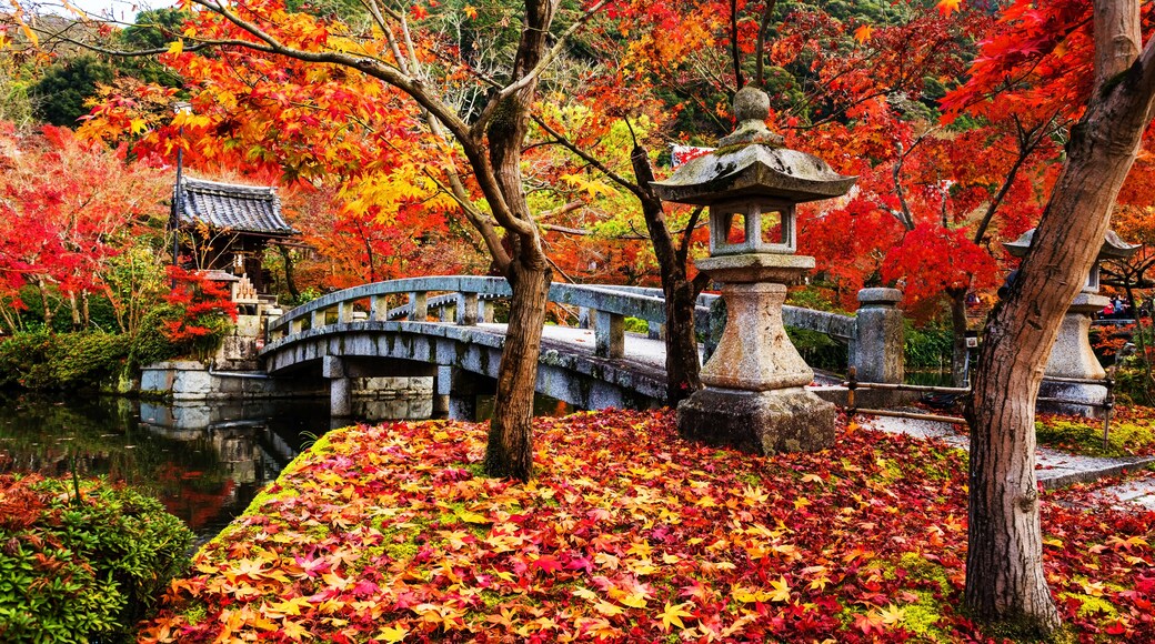 Eikan-do Temple, Kyoto, Kyoto Prefecture, Japan