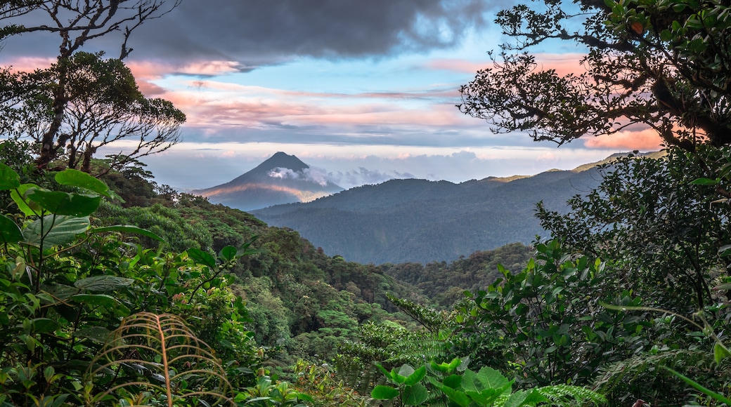 Monteverde, Puntarenas (hérað), Kosta Ríka