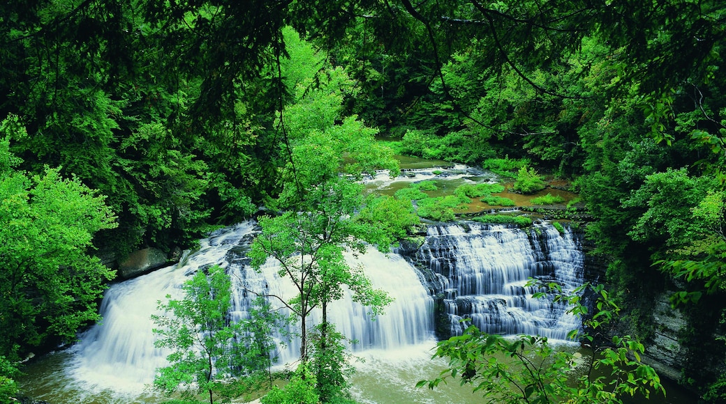 Công viên bang Burgess Falls