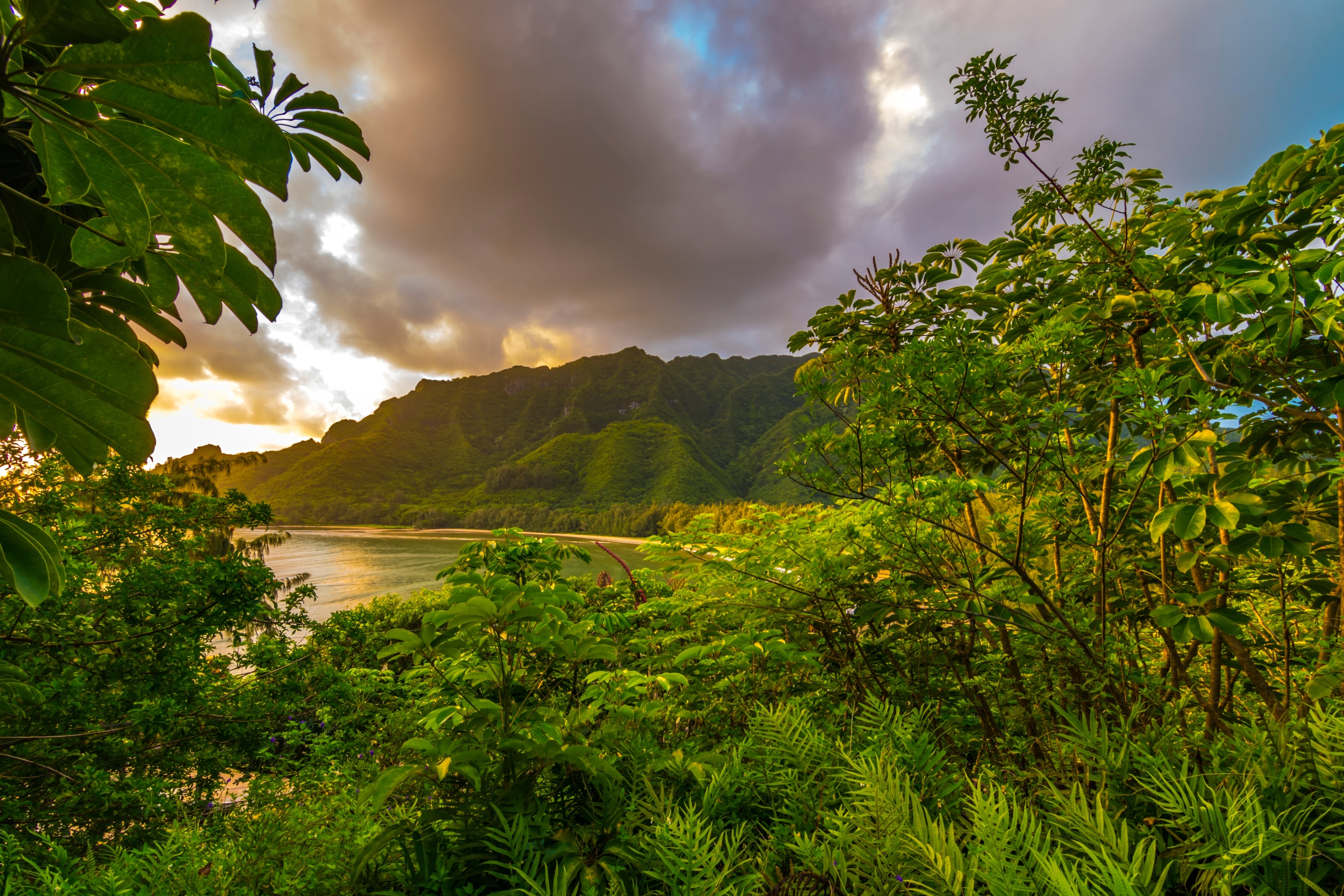 Lahaina, Hawaii, United States of America