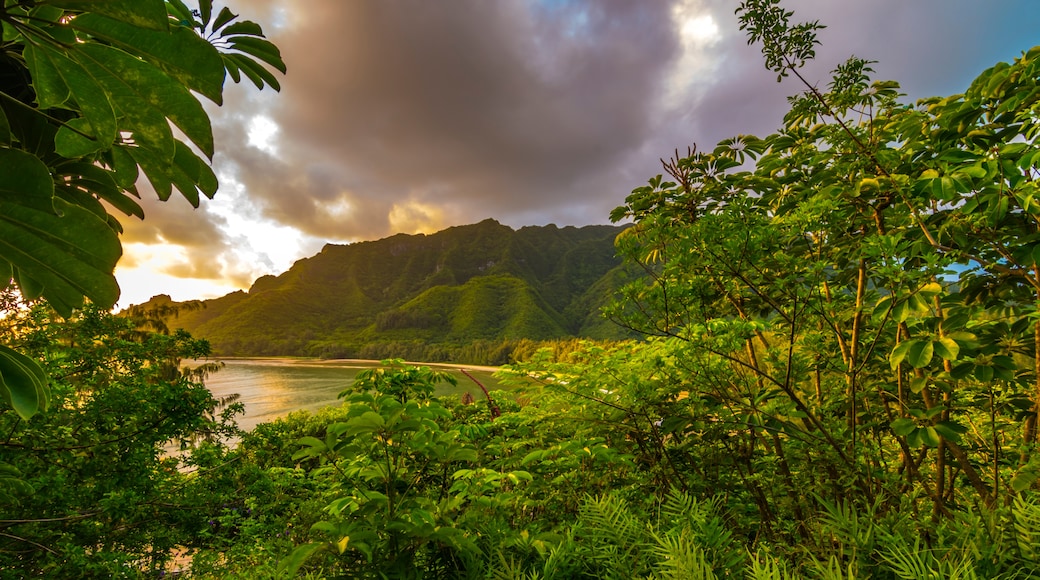 Napili-Honokowai