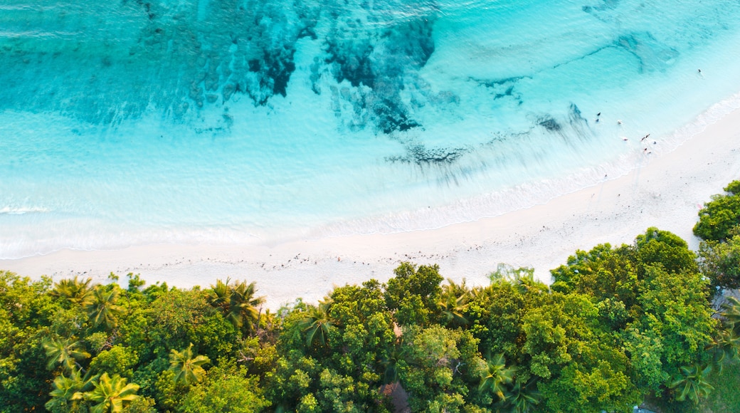 Plage Seychelles Beach