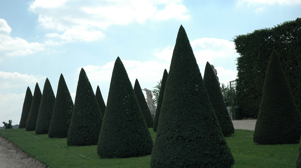 Château de Versailles Gardens & Park