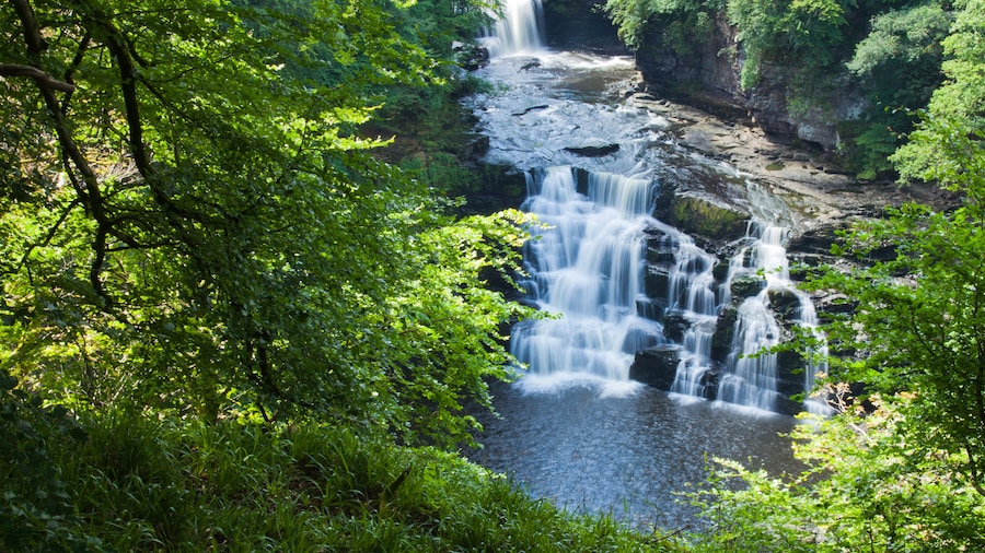 Falls of Clyde