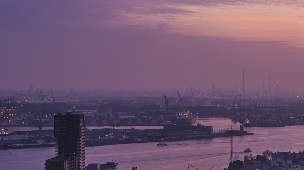 Rotterdam, Zuid-Holland, Nederland