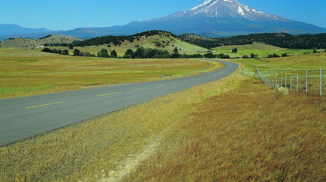 Gunung Shasta