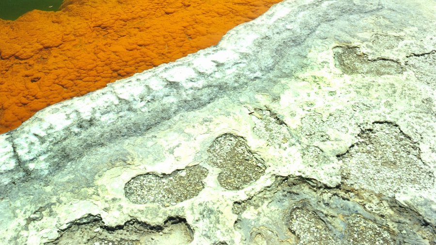 Hồ bơi Champagne
