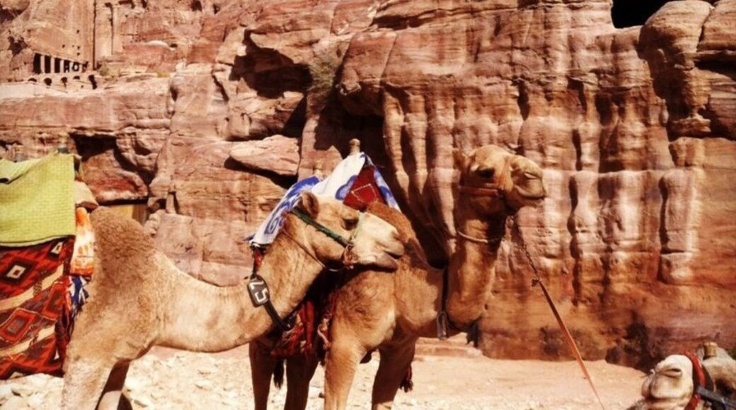 Wadi Araba Sub-District