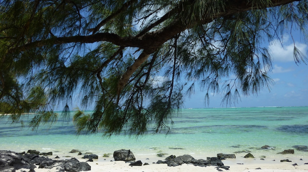 Spiaggia di Ile aux Cerfs, Trou d'Eau Douce, Flacq, Mauritius