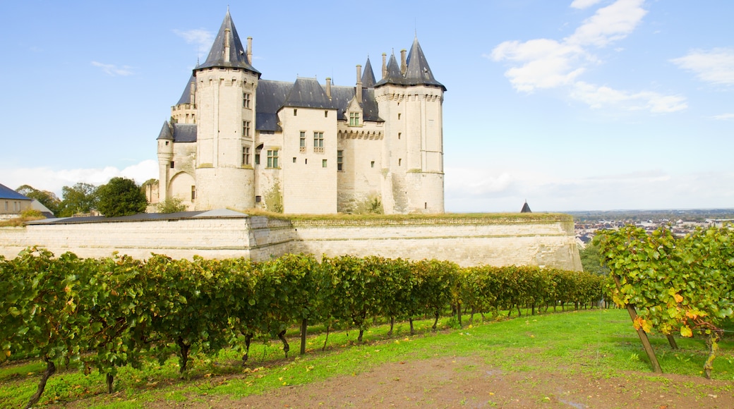 Château de Saumur, Saumur, Maine-et-Loire, France
