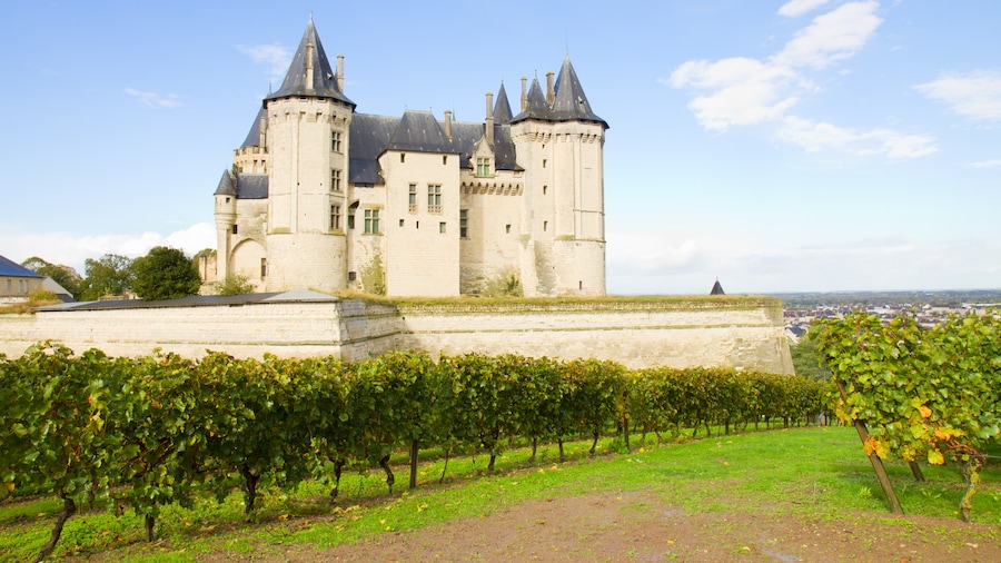 Chateau de Saumur