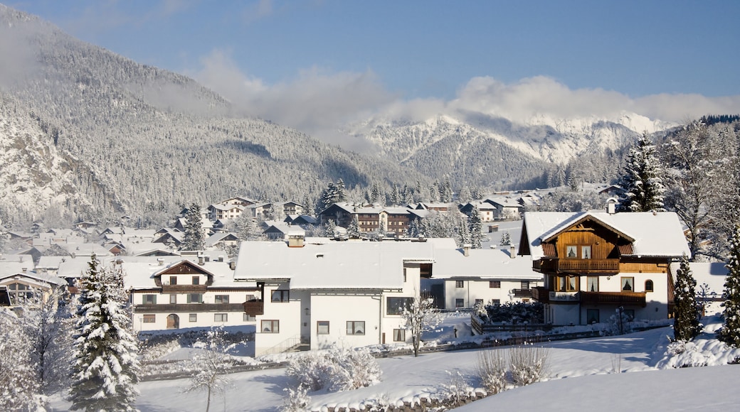 Ehrwald, Tirol, Oostenrijk