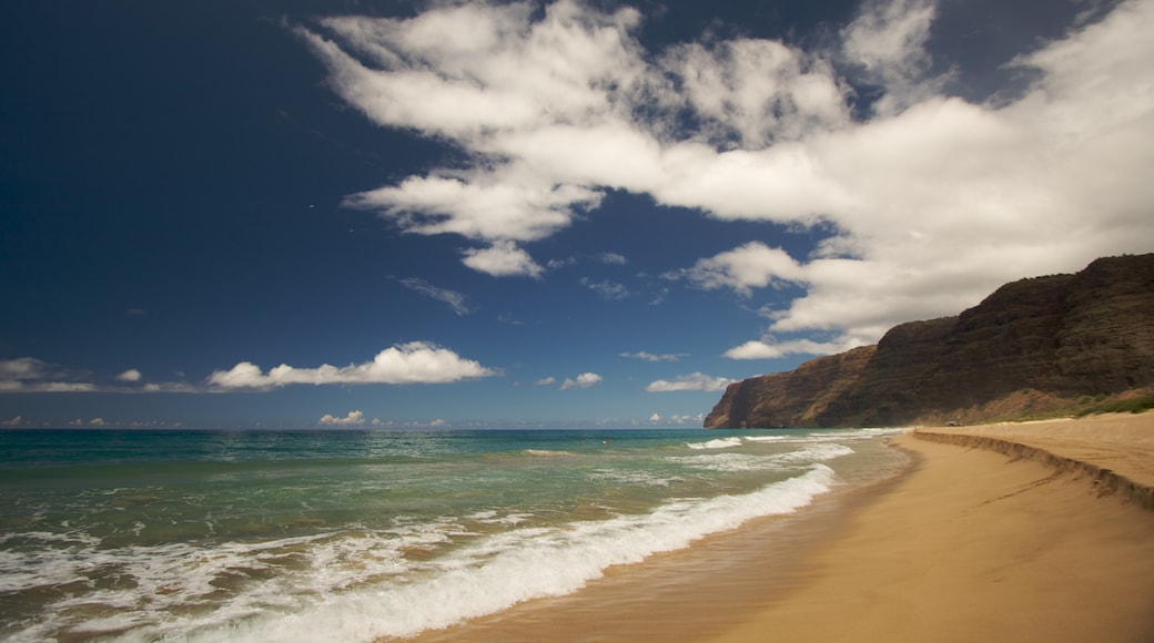 Polihale State Park