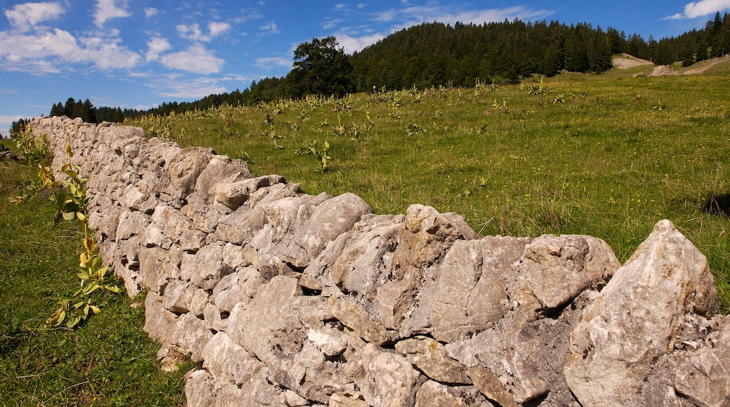 Parque natural regional del Haut-Jura