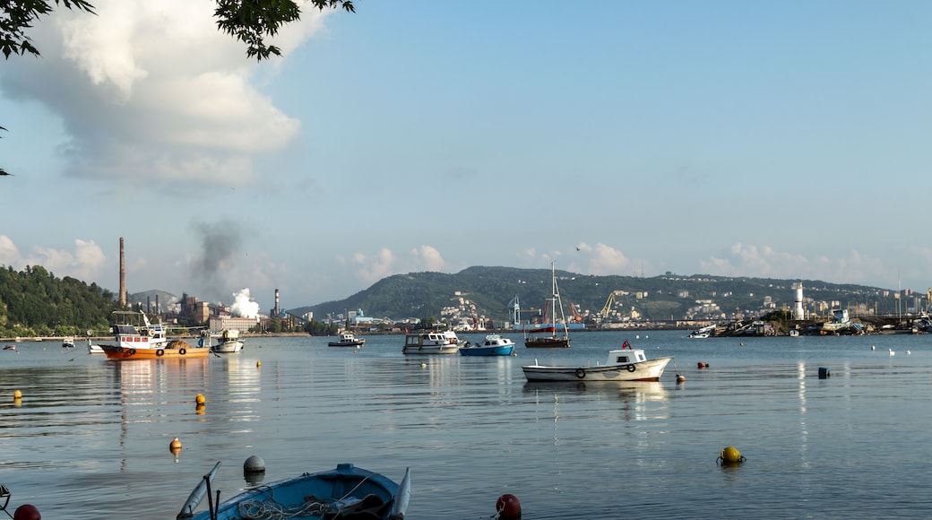 Karadeniz Eregli