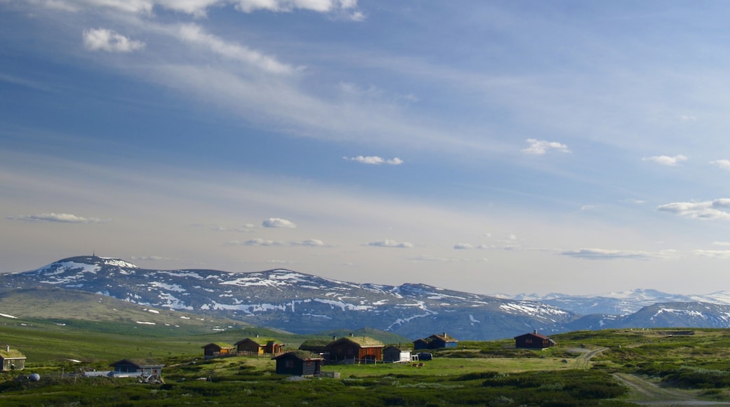Dovrefjell-Sunndalsfjella nasjonalpark