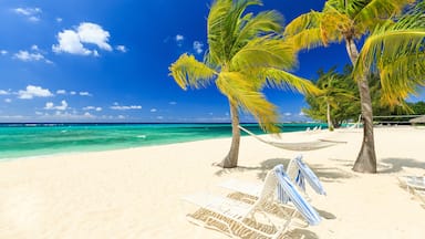 cayman islands travel packages