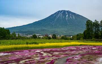Visit Mount Yotei In Hokkaido Prefecture Expedia