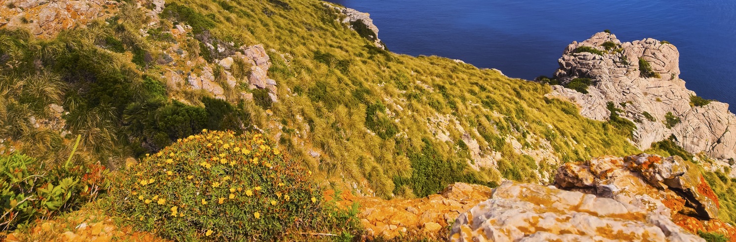 Pollensa, Spanyolország