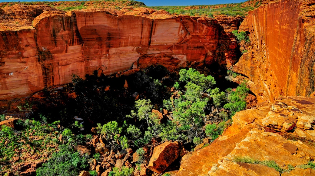 Kings Canyon, Petermann, Northern Territory, Australia