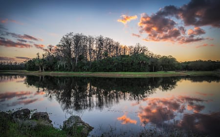 Woman Lehigh Acres Prostitutes Lehigh Acres