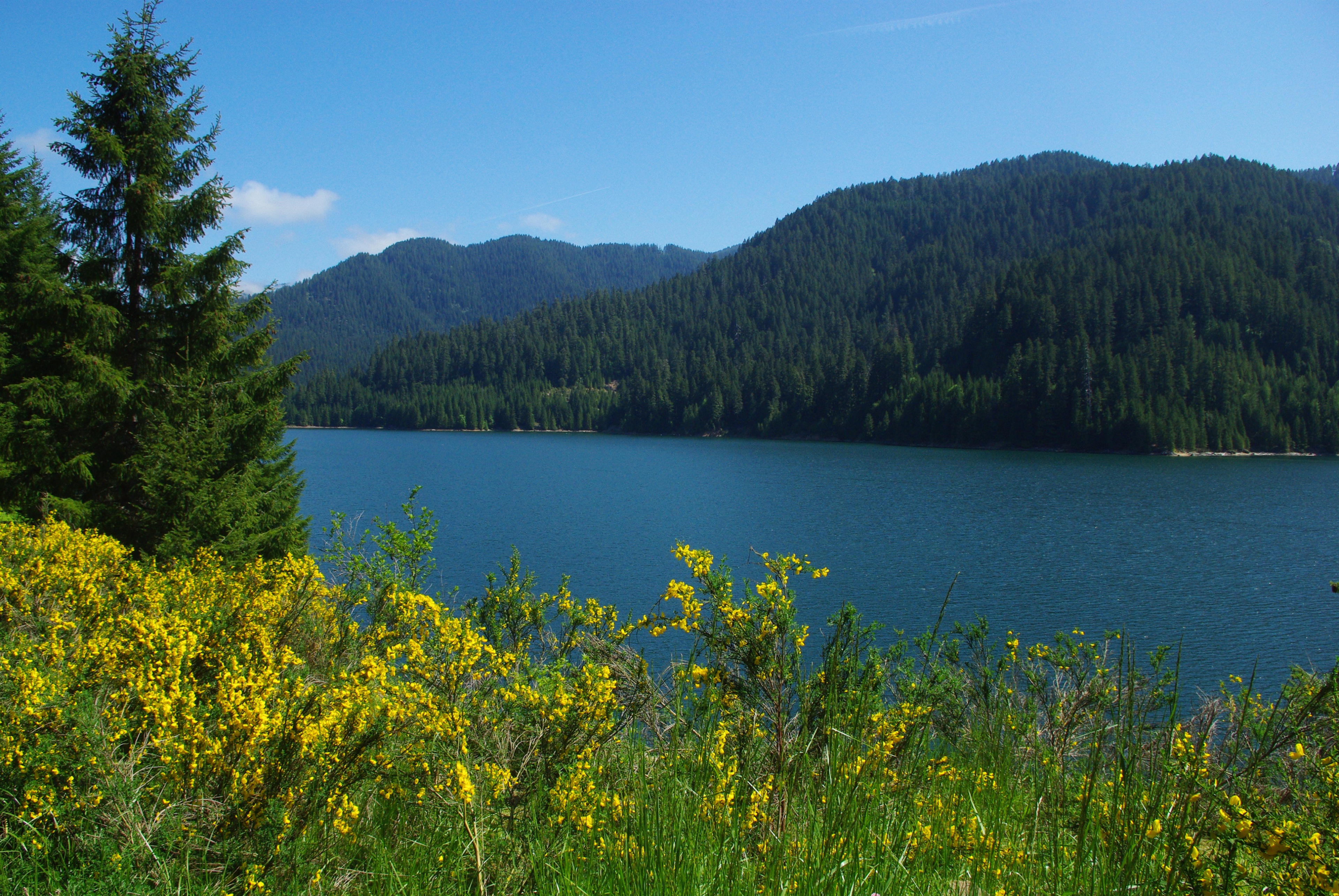 Escape To Oregon’s Jewel: Detroit Lake State Park