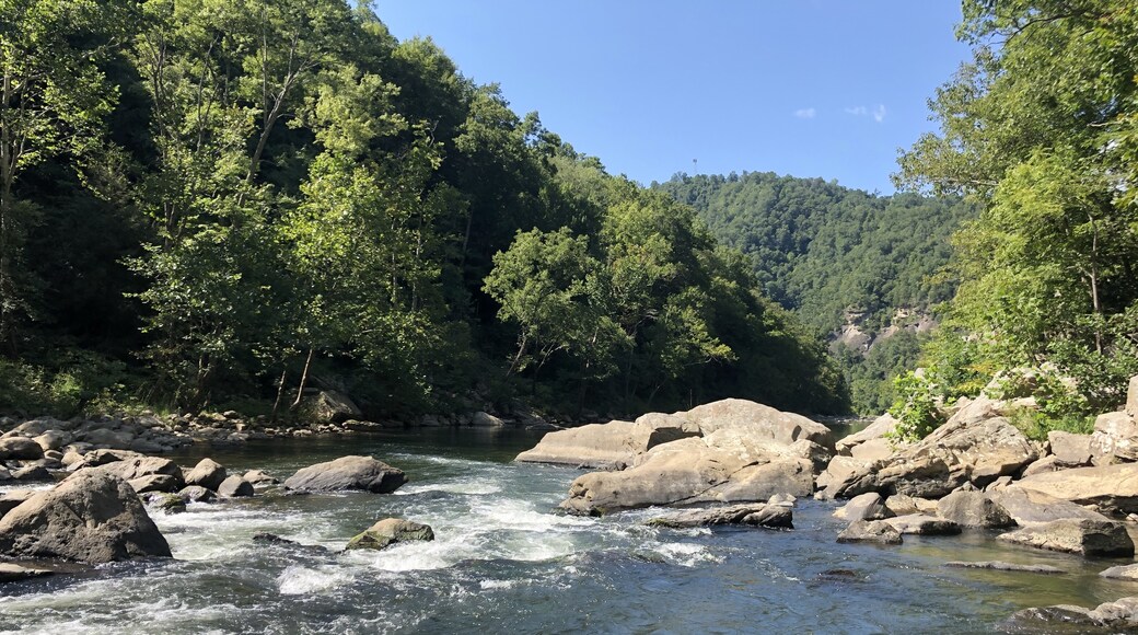 Condado de Dickenson